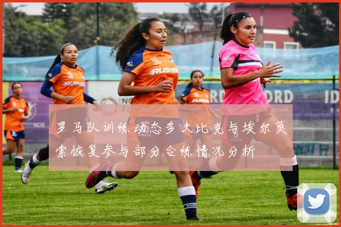 罗马队训练动态多夫比克与埃尔莫索恢复参与部分合练情况分析